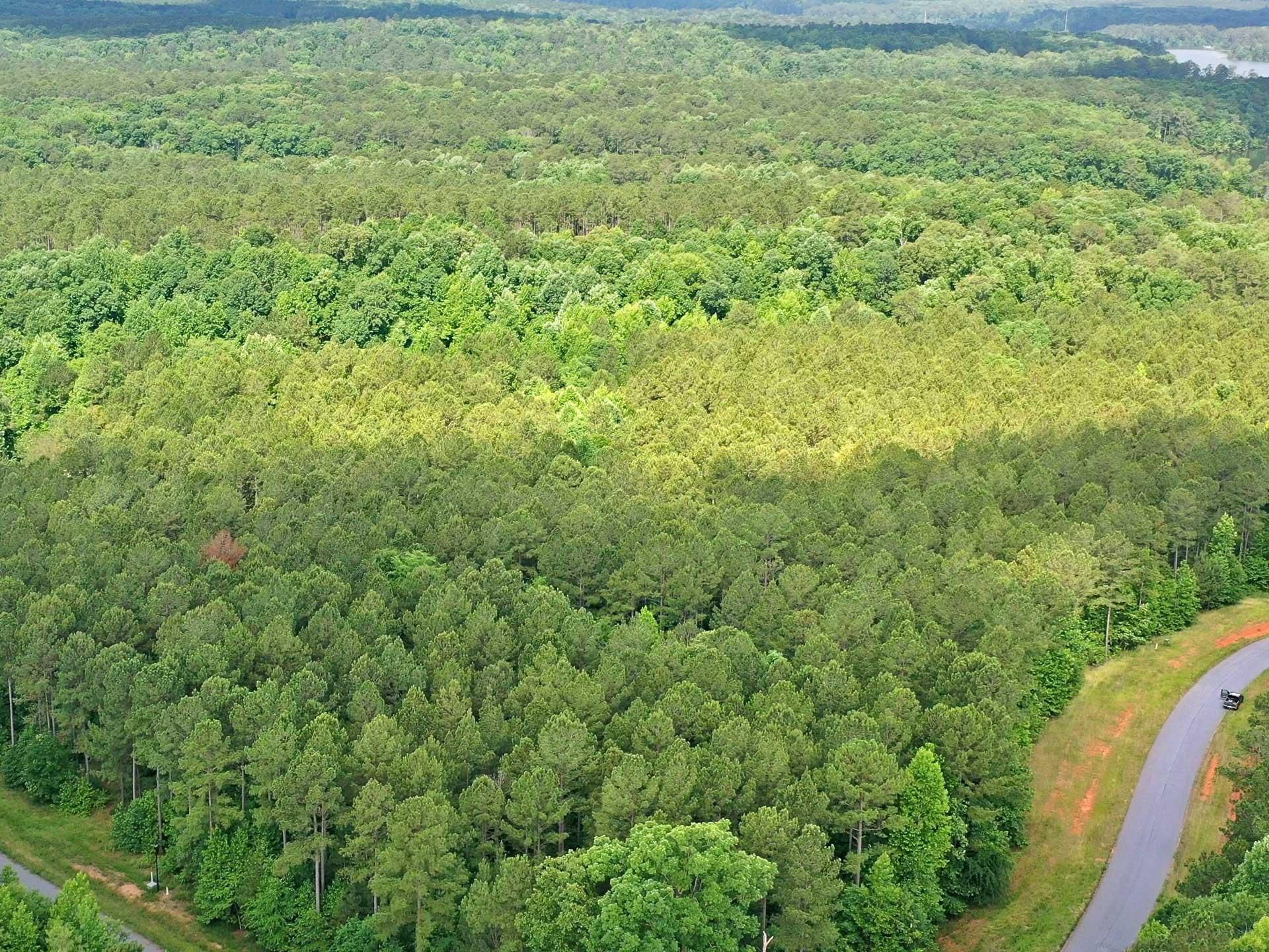 Lincolnton, Lincoln County, GA Homesites for sale Property ID