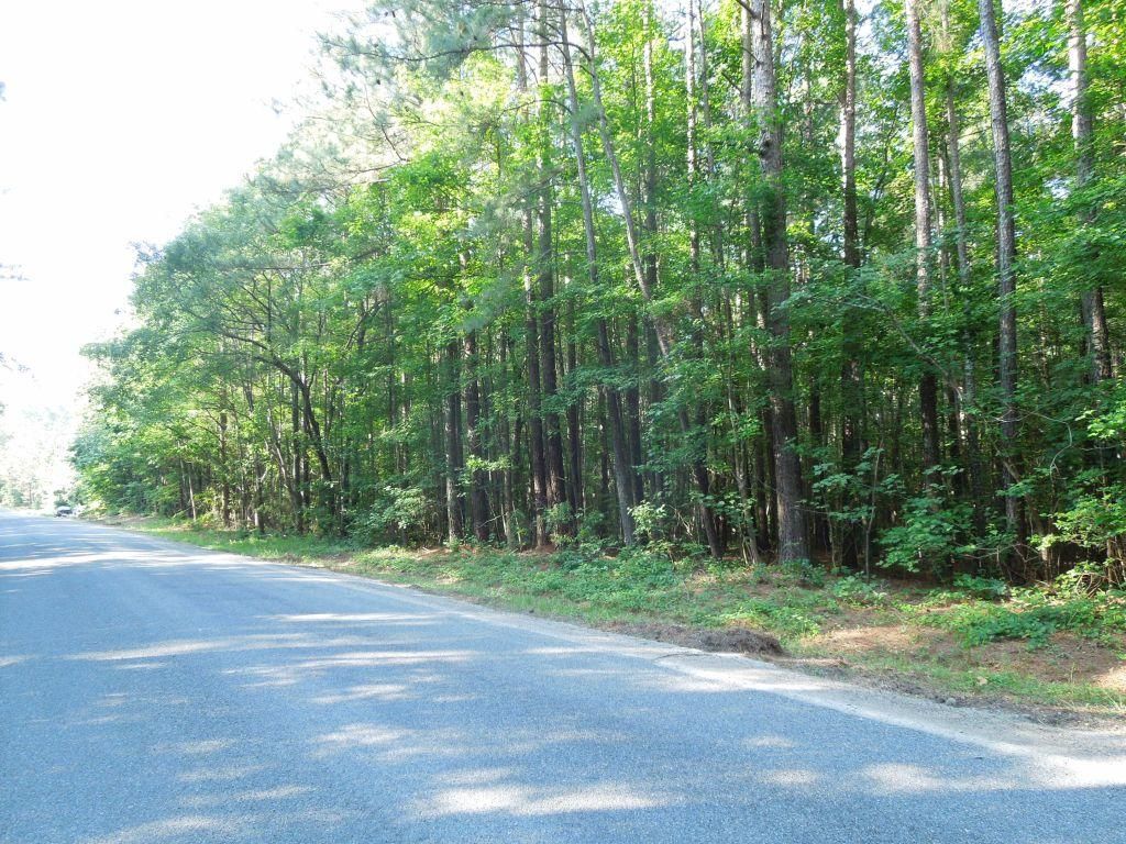 Sanford, Lee County, NC Timberland Property, Undeveloped Land for sale