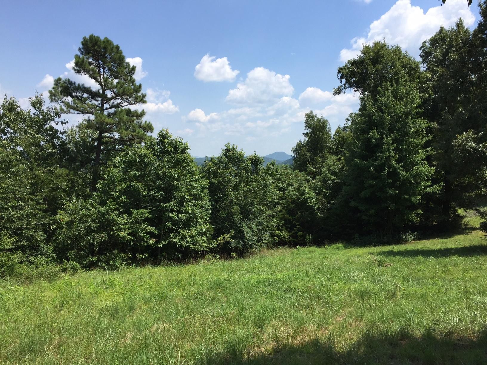 15 acres in Calico Rock, AR, 72519 MLS 22018608 LandWatch