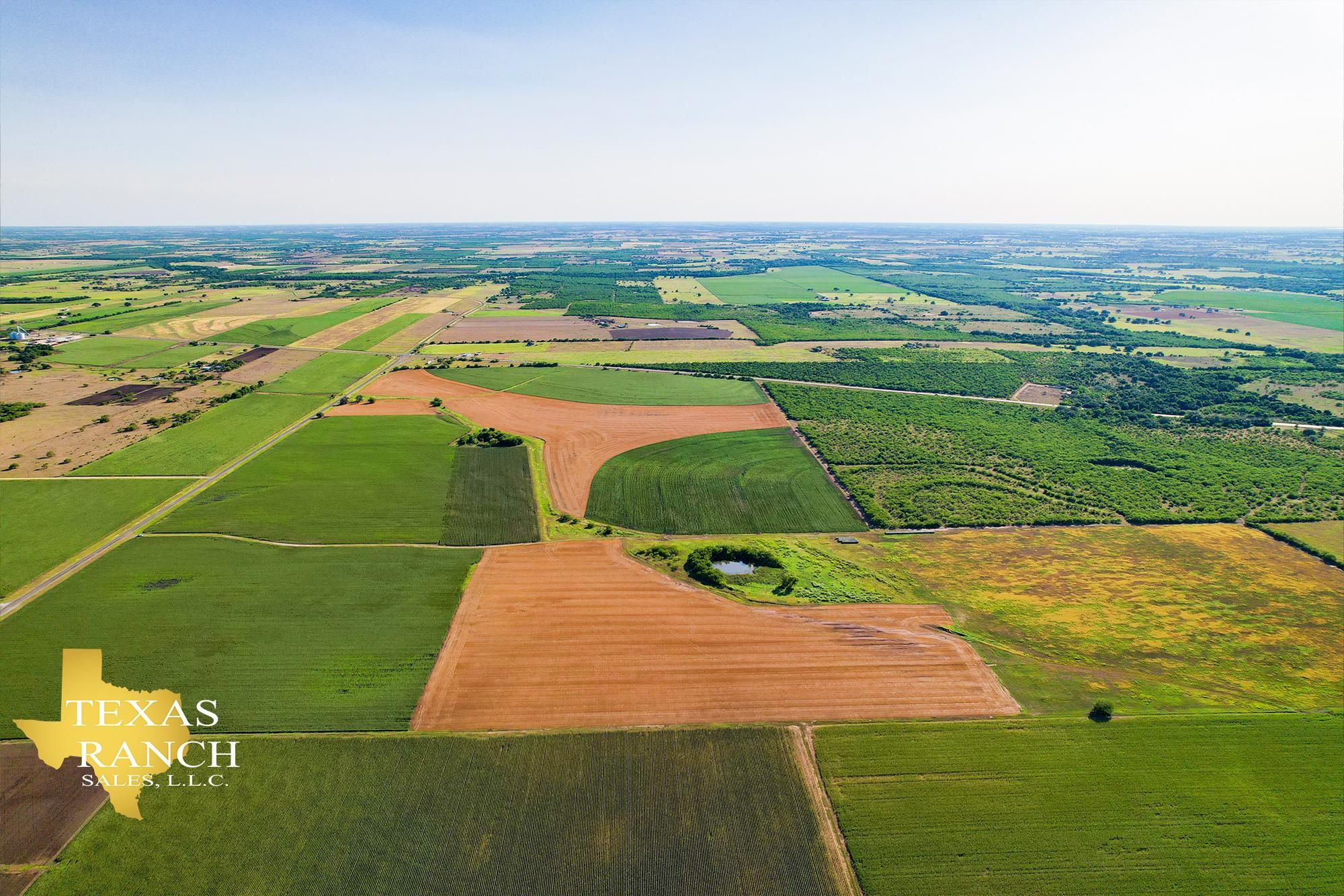Stockdale, Wilson County, TX Farms and Ranches, Hunting Property for