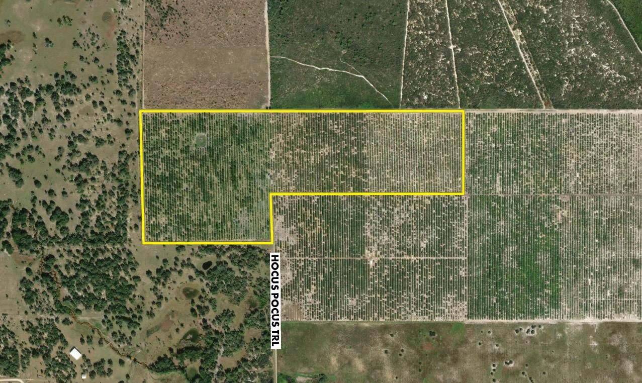 Lake Placid, Highlands County, FL Farms and Ranches, Undeveloped Land