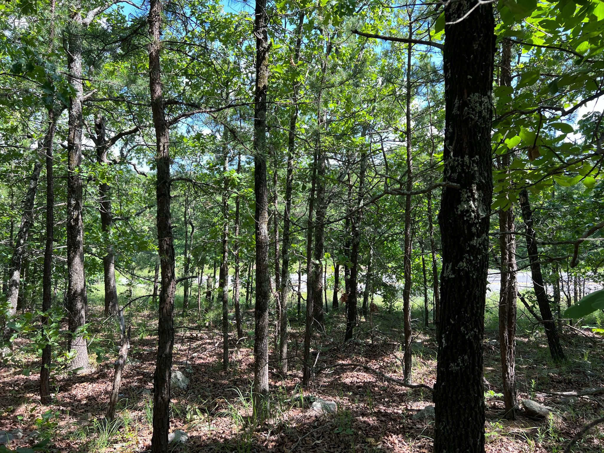 Tuskahoma, Latimer County, OK Recreational Property for sale Property