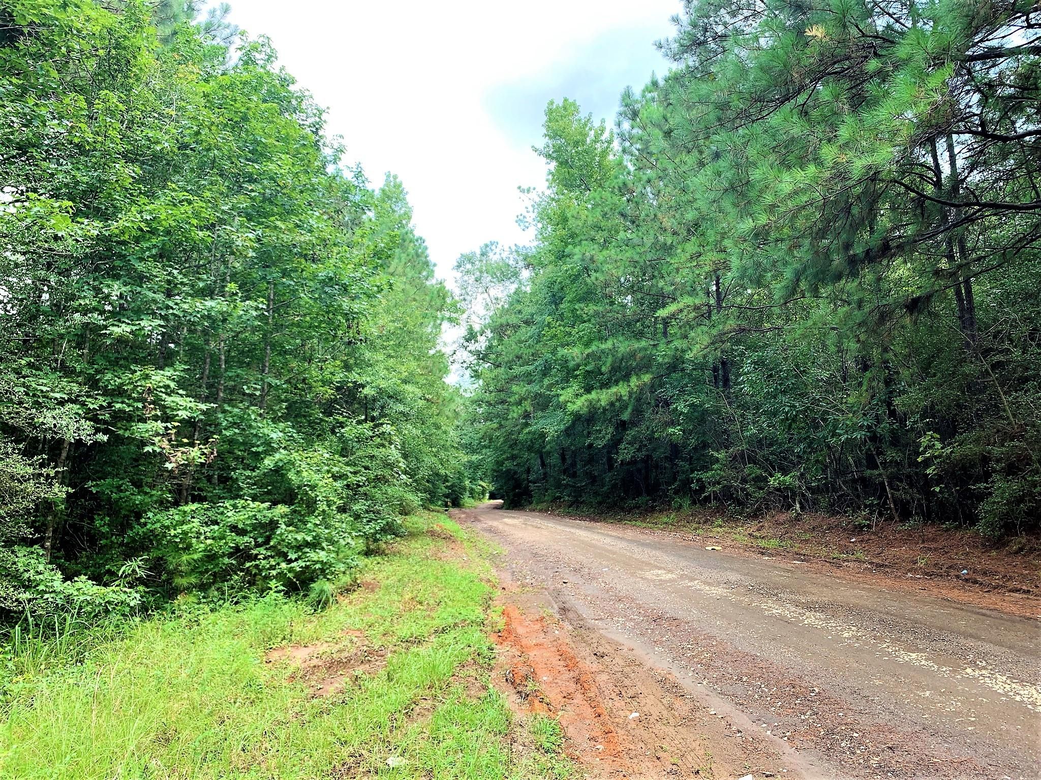 Wiergate, Newton County, TX Recreational Property, Homesites for sale