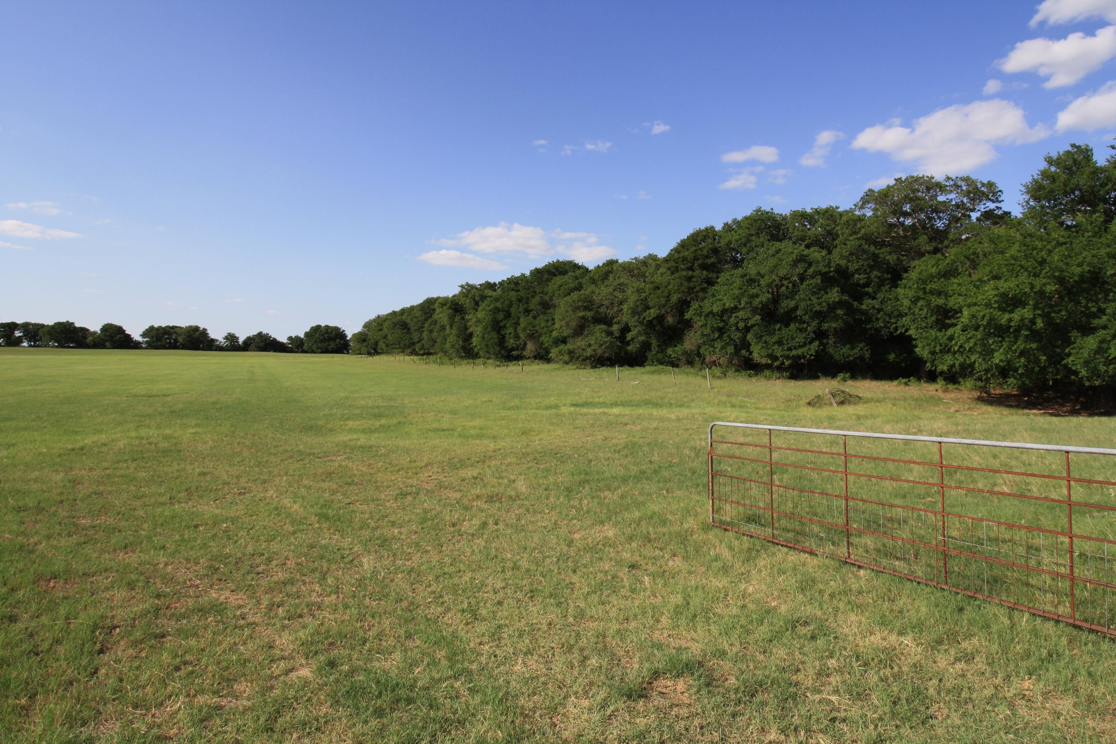 Comanche, Comanche County, TX Farms and Ranches, Horse Property, House