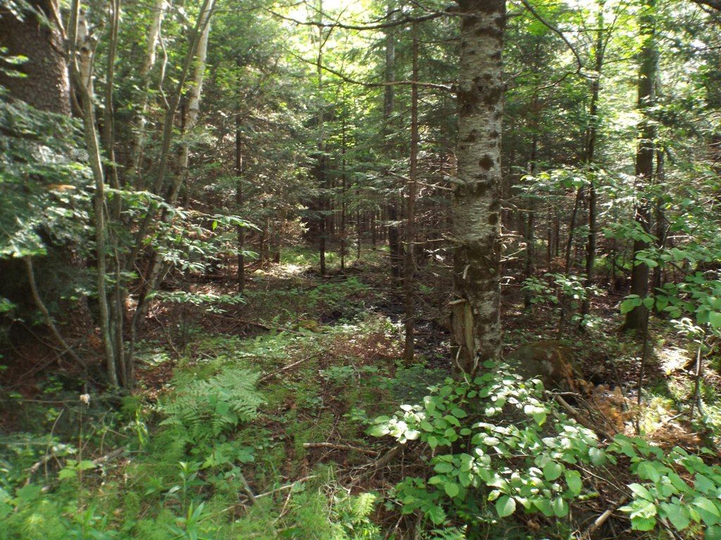 Hiles, Forest County, WI Undeveloped Land, Homesites for sale Property ID 413815270 LandWatch