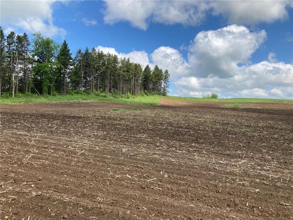 Glenwood City, Saint Croix County, WI Undeveloped Land for sale