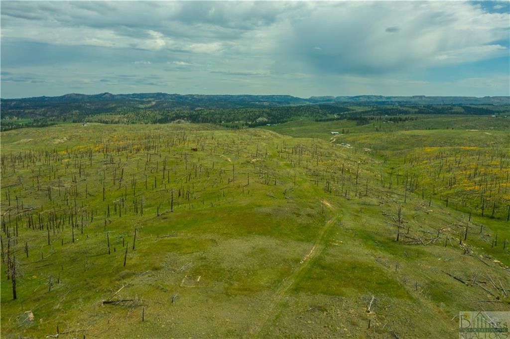 Roundup, Musselshell County, MT Undeveloped Land for sale Property ID