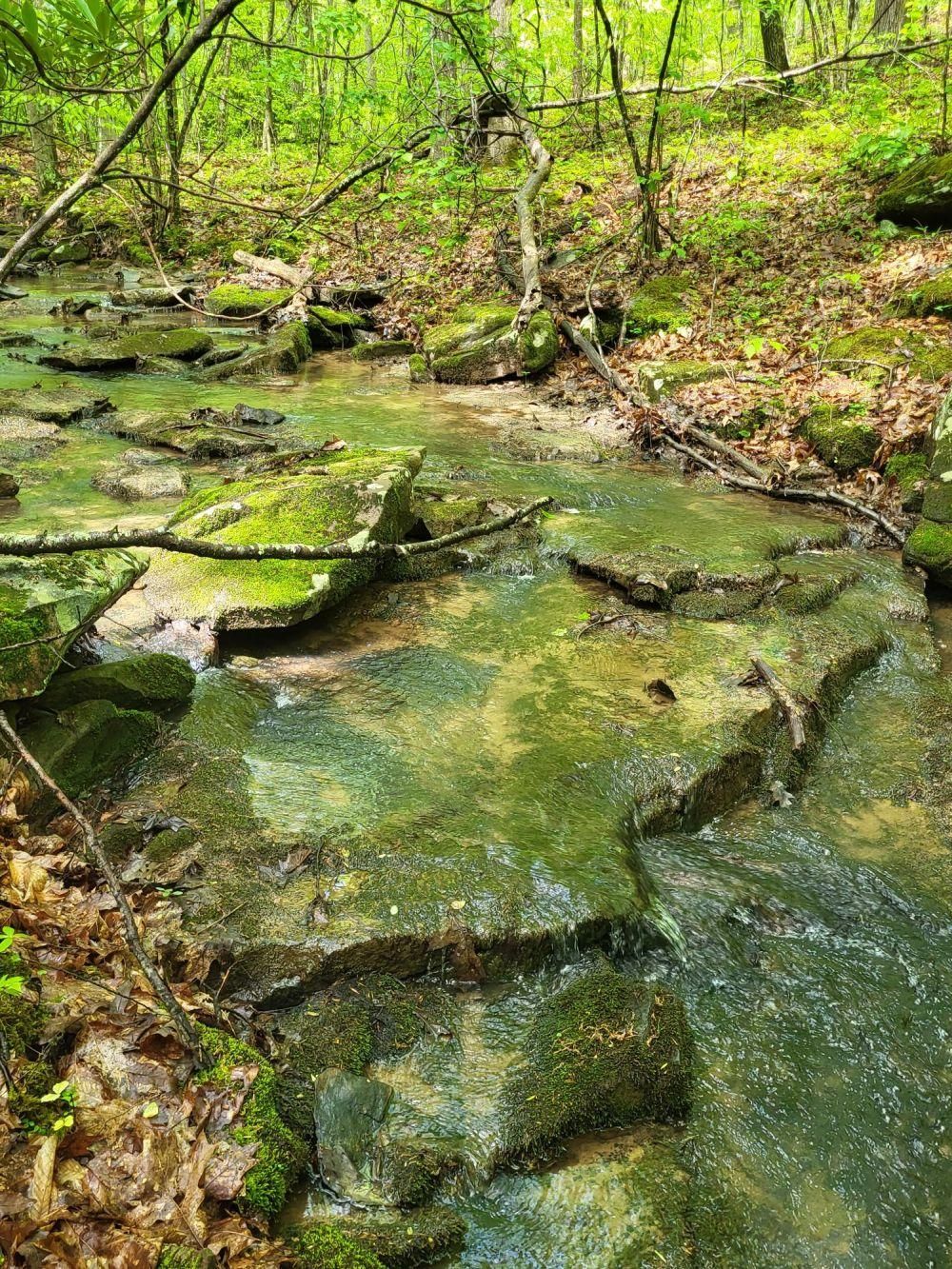 Princeton, Mercer County, WV Farms and Ranches, Recreational Property