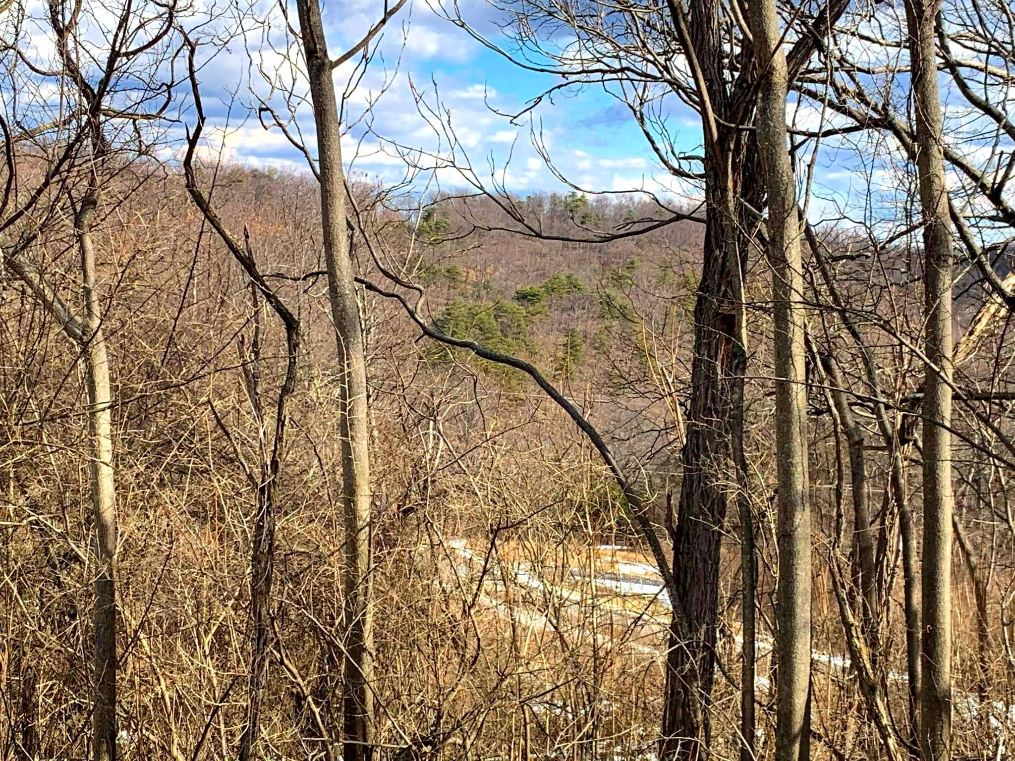 Bluffs Mill Rd, Fort Ashby, WV 26719 MLS WVMI2000620 LandWatch