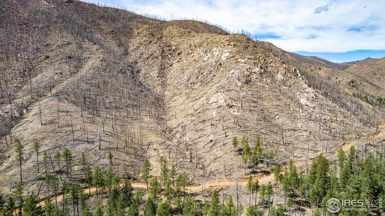 Bellvue, Larimer County, CO Undeveloped Land for sale Property ID