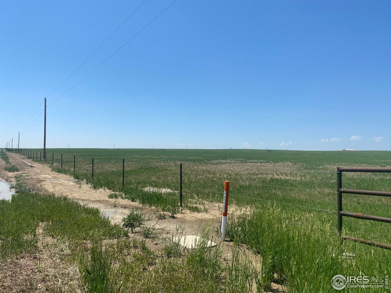 Nunn, Weld County, CO Farms and Ranches, Homesites for sale Property ID