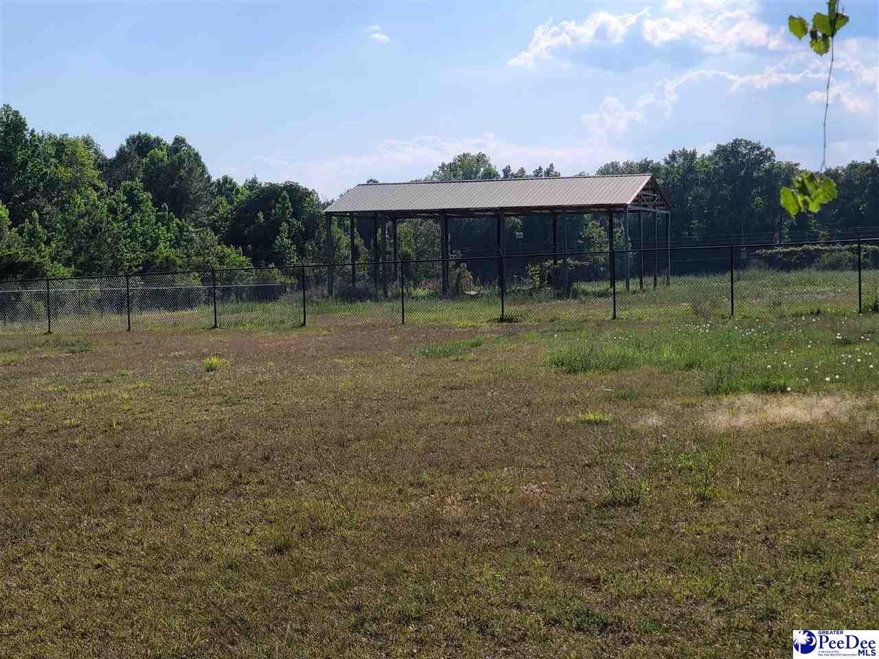Darlington, Darlington County, SC Farms and Ranches for sale Property