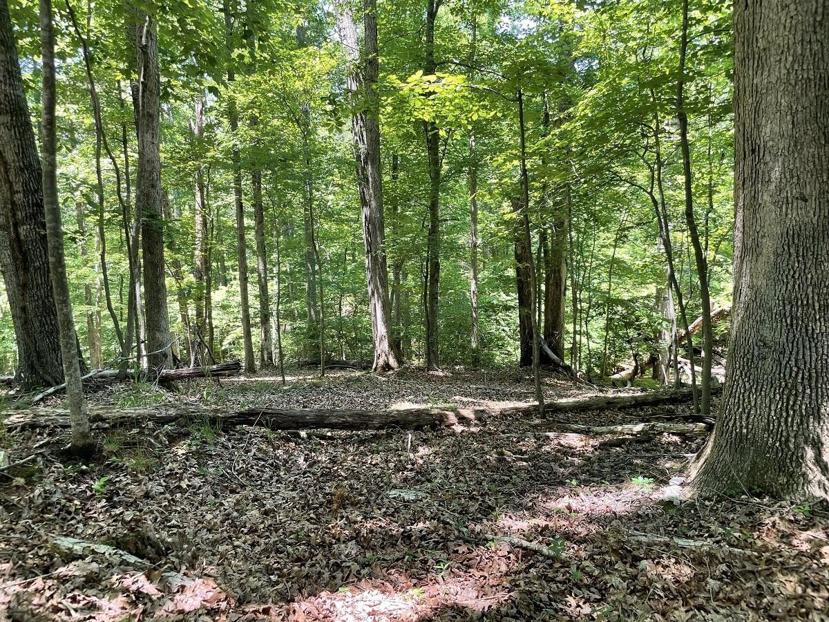 Hardy, Franklin County, VA Farms and Ranches, Homesites for sale