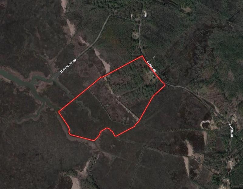 Mears Station, County, VA Recreational Property, Timberland