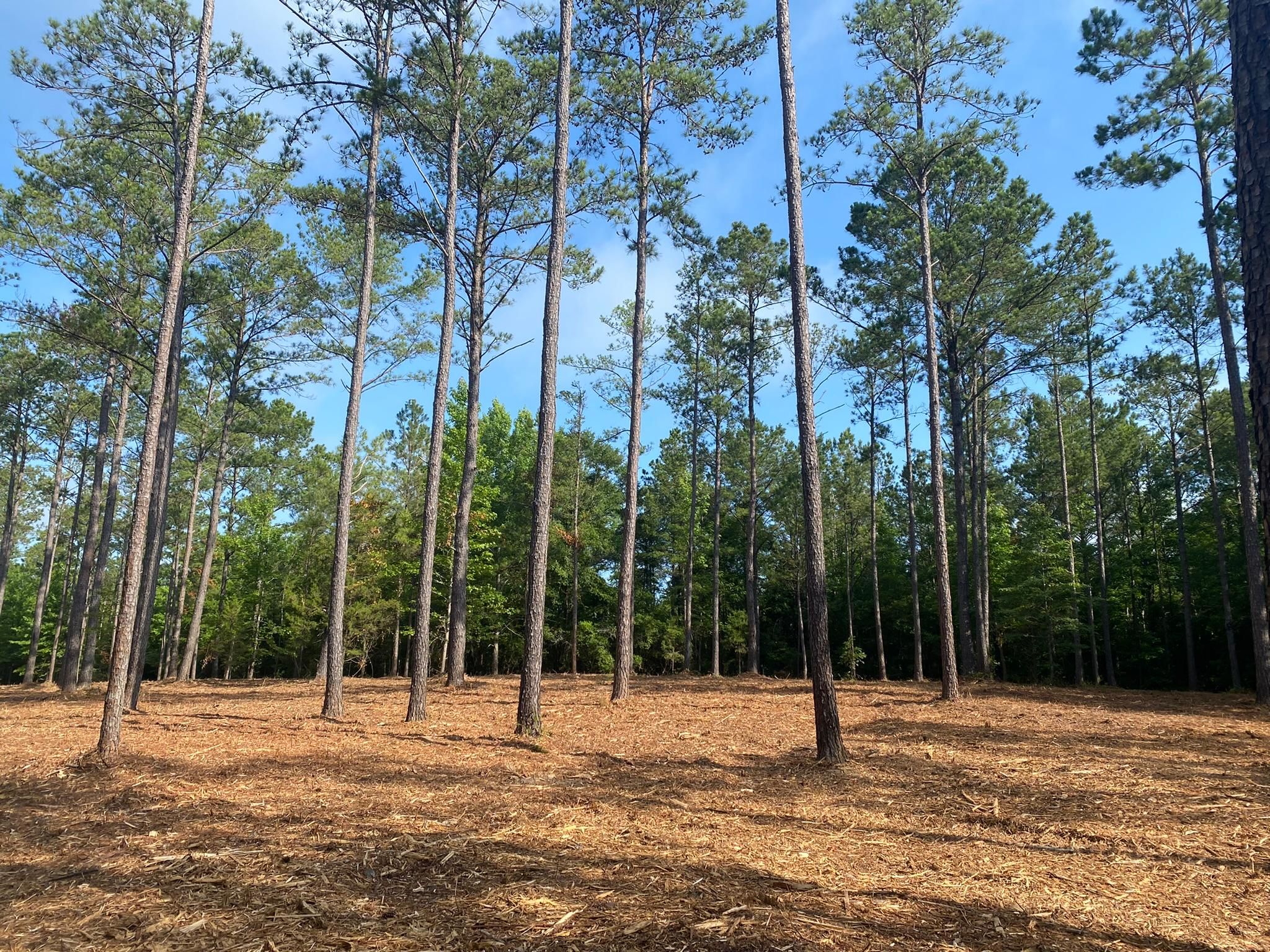Troy, Pike County, AL Farms and Ranches for sale Property ID 413823740