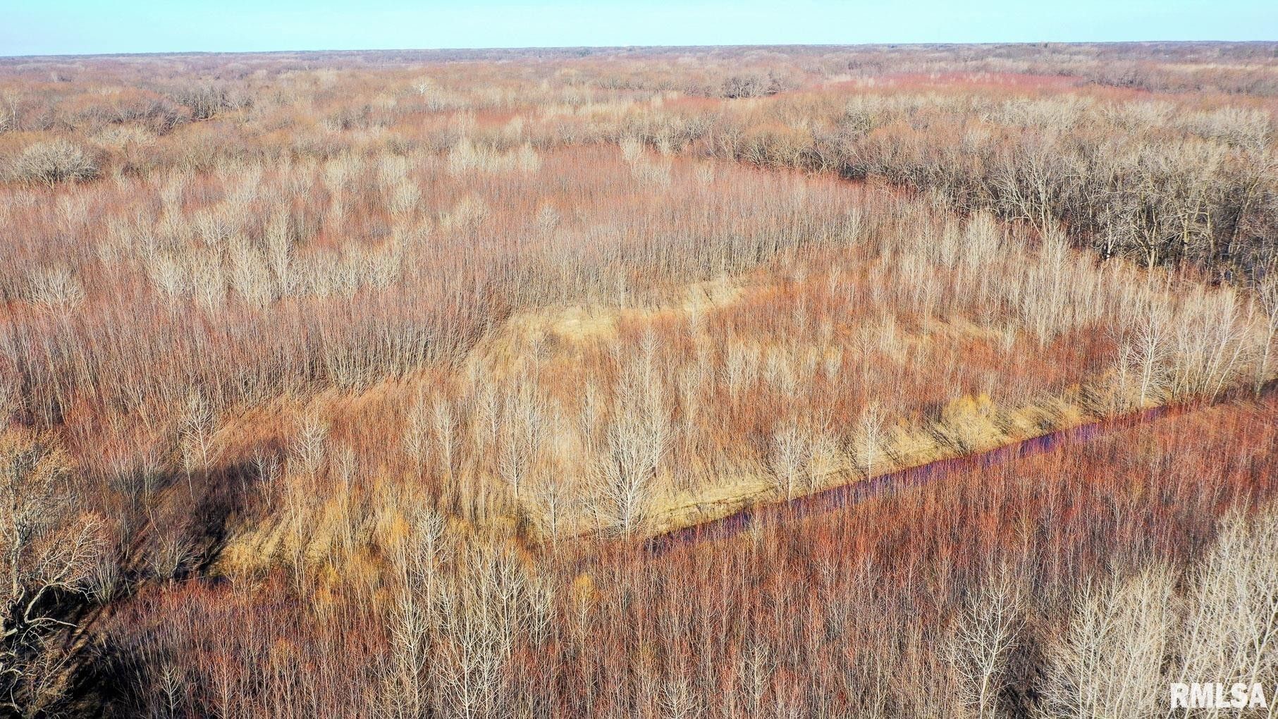 Spaulding, Sangamon County, IL Undeveloped Land for sale Property ID