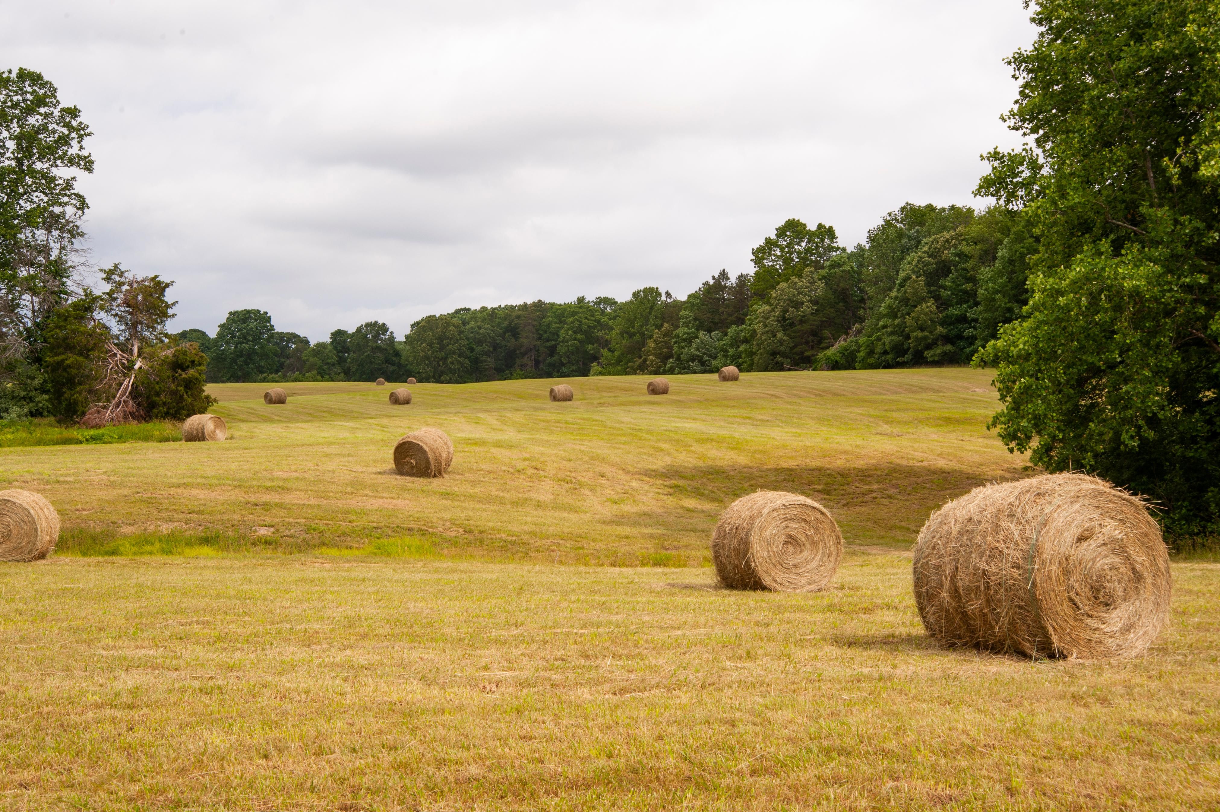 Gordonsville, Orange County, VA for sale Property ID 412905857 LandWatch