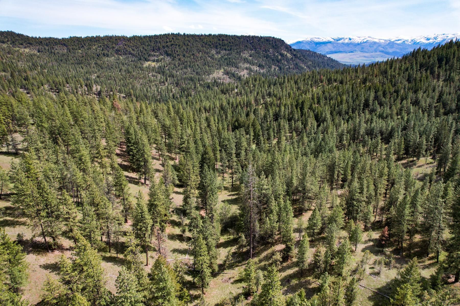 Prairie City, Grant County, OR Recreational Property, Undeveloped Land