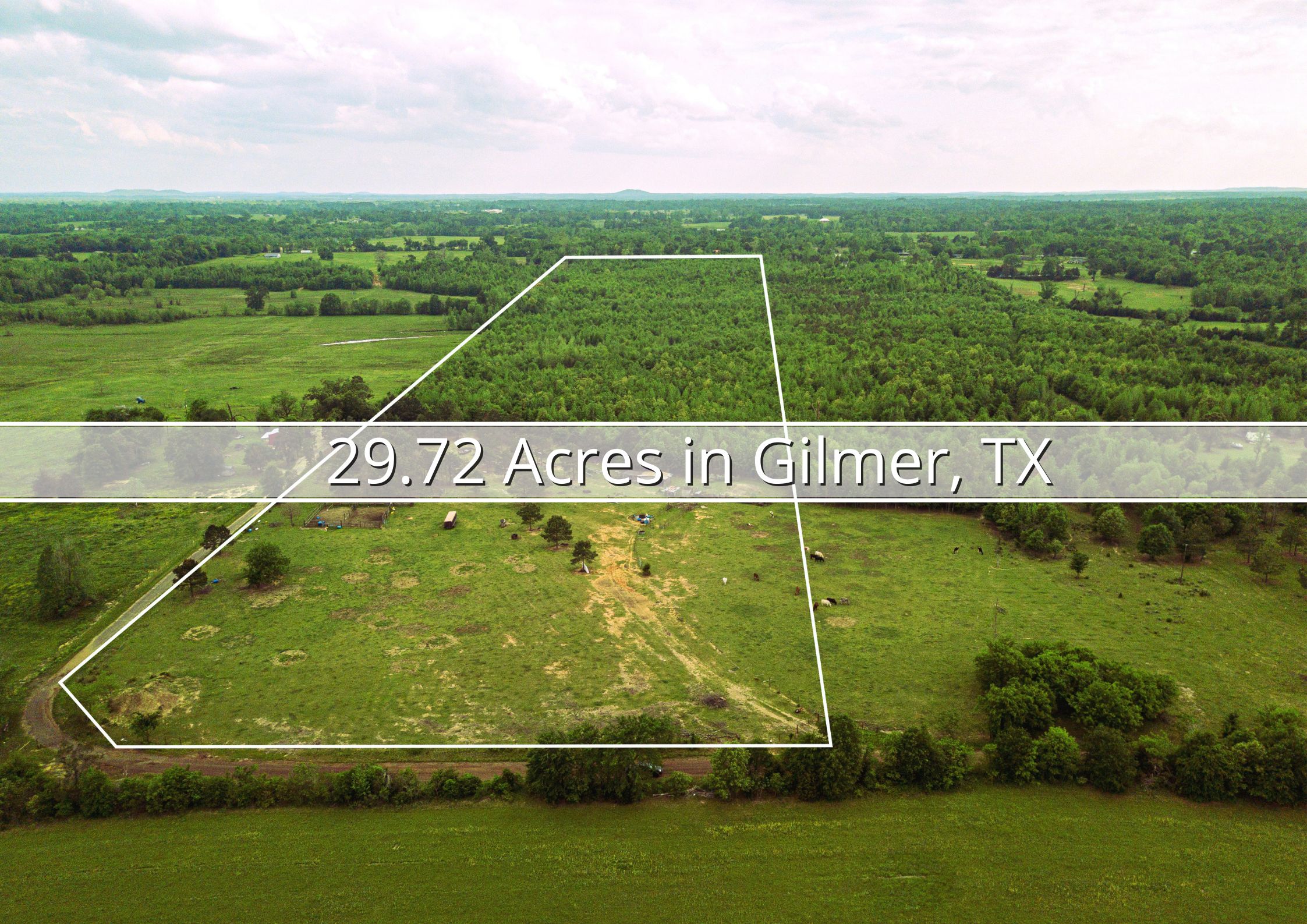 Gilmer, Upshur County, TX Farms and Ranches, Undeveloped Land, Hunting