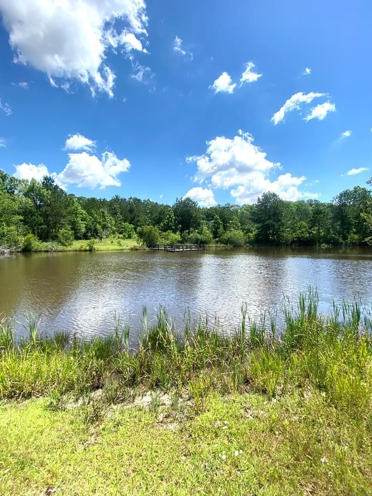 Newton, Dale County, AL Lakefront Property, Waterfront Property for
