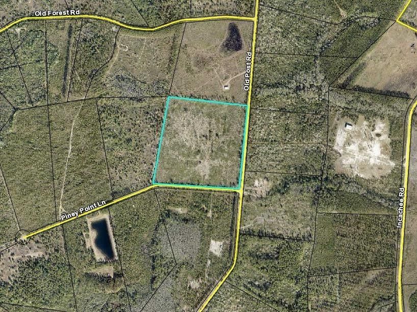 White Oak, Camden County, GA Undeveloped Land for sale Property ID