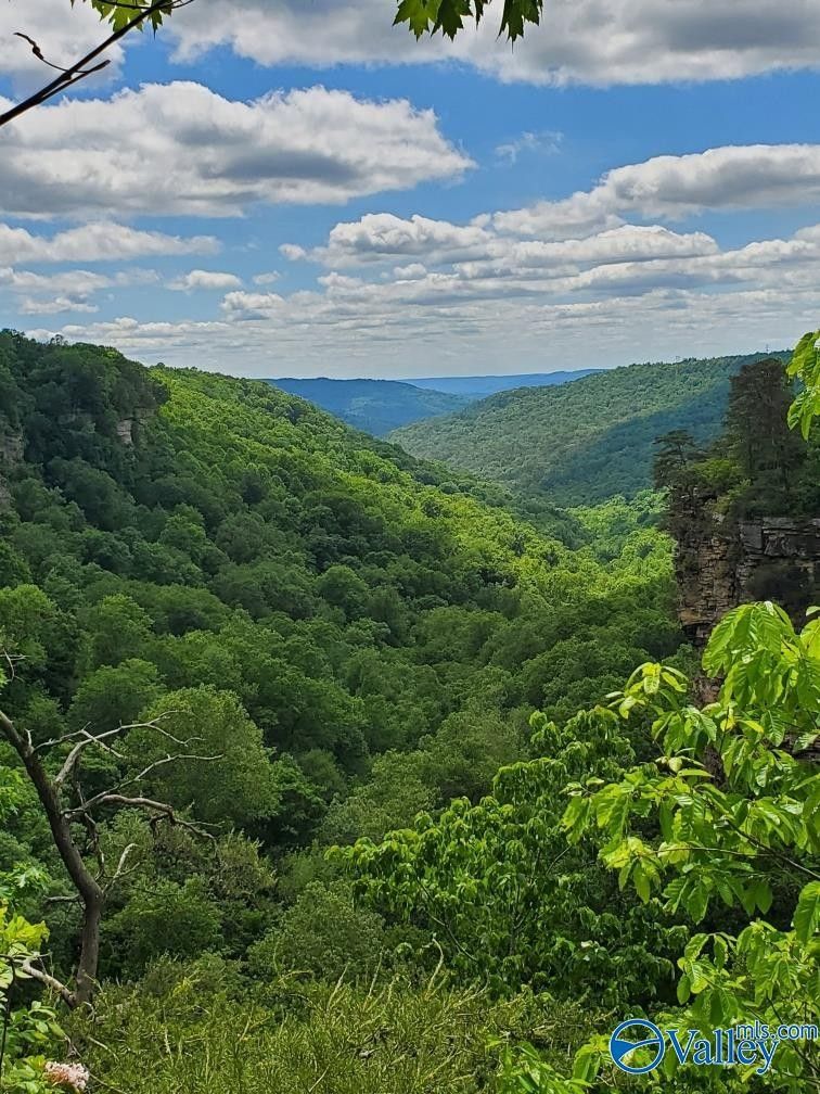 Pisgah, Jackson County, AL Undeveloped Land for sale Property ID