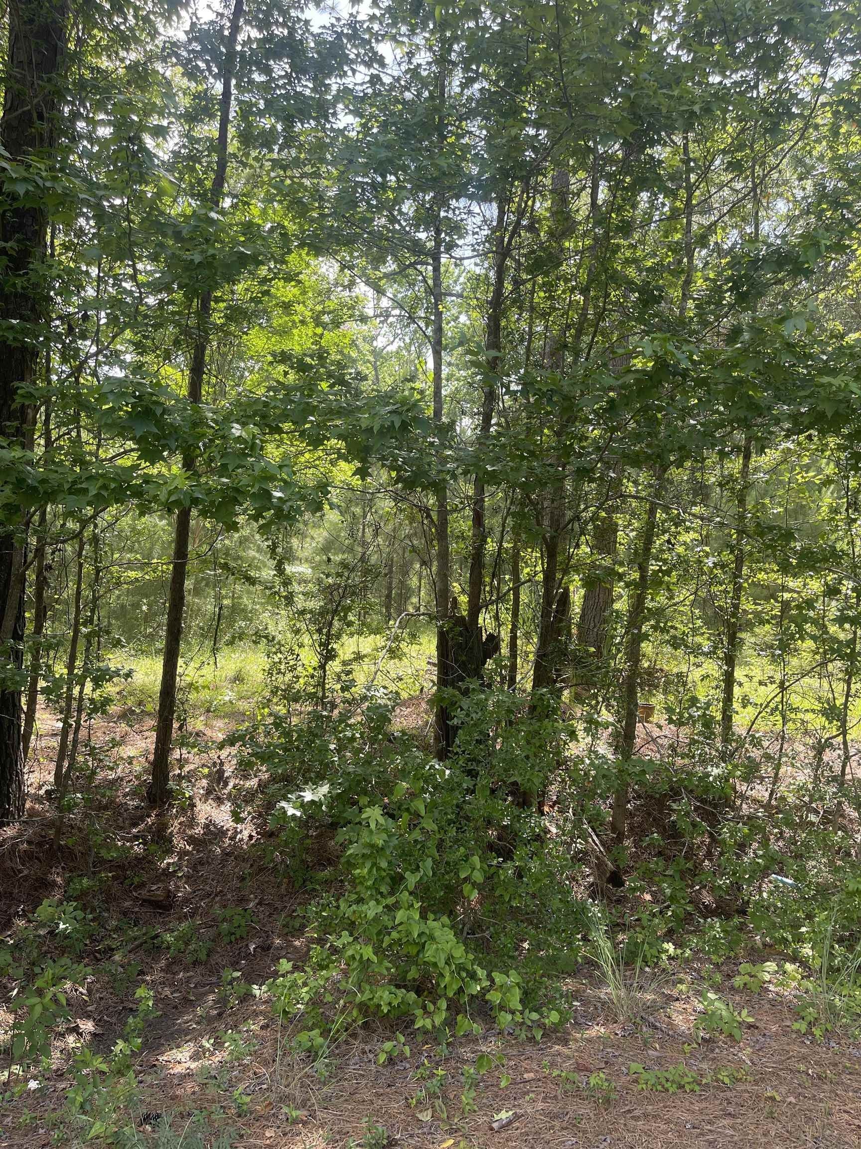 Broaddus, San Augustine County, TX Undeveloped Land, Homesites for sale