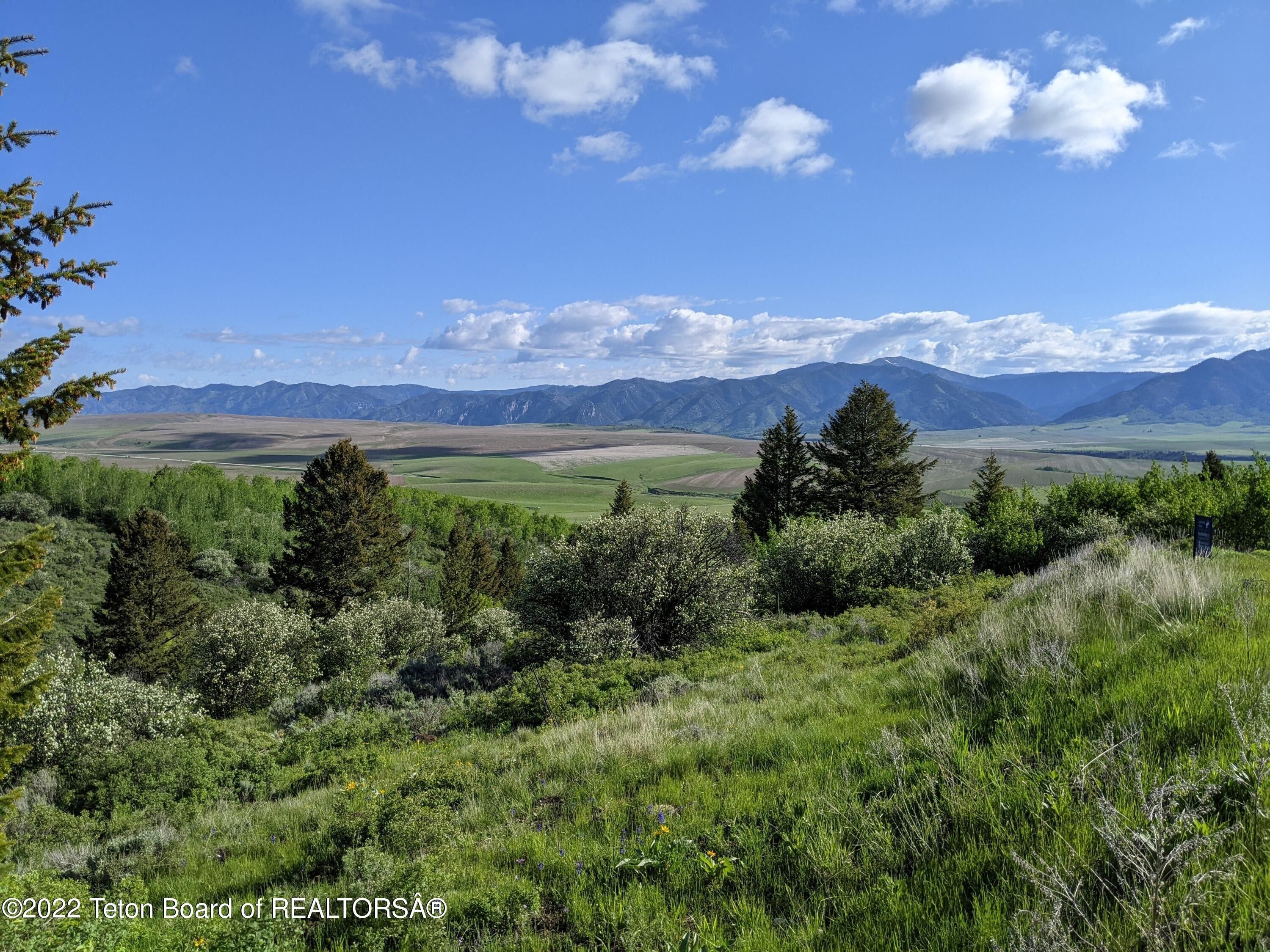 Swan Valley Bonneville County ID Undeveloped Land Lakefront Property 