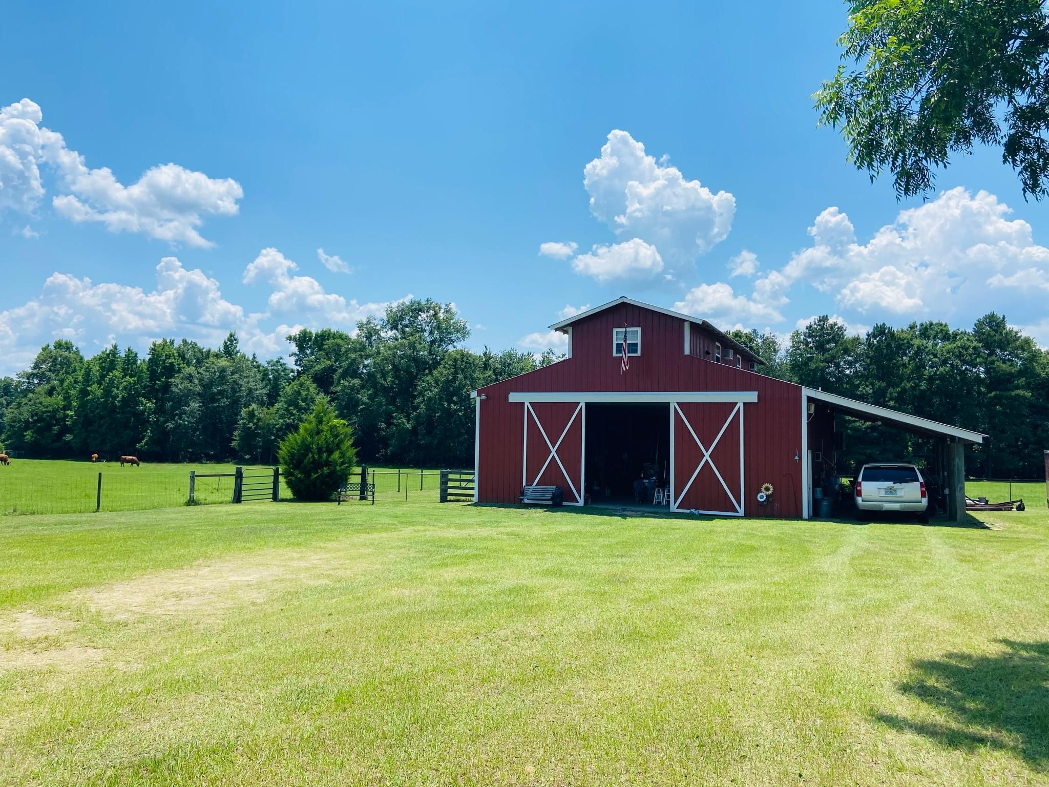 Midville, Burke County, GA Farms and Ranches, Horse Property, House for