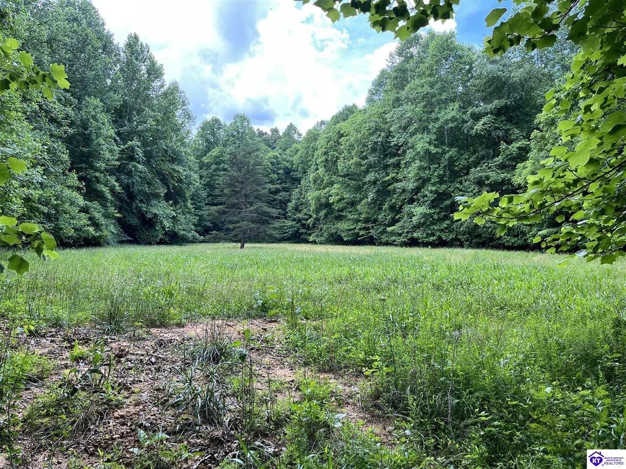 Bonnieville, Hart County, KY Undeveloped Land for sale Property ID