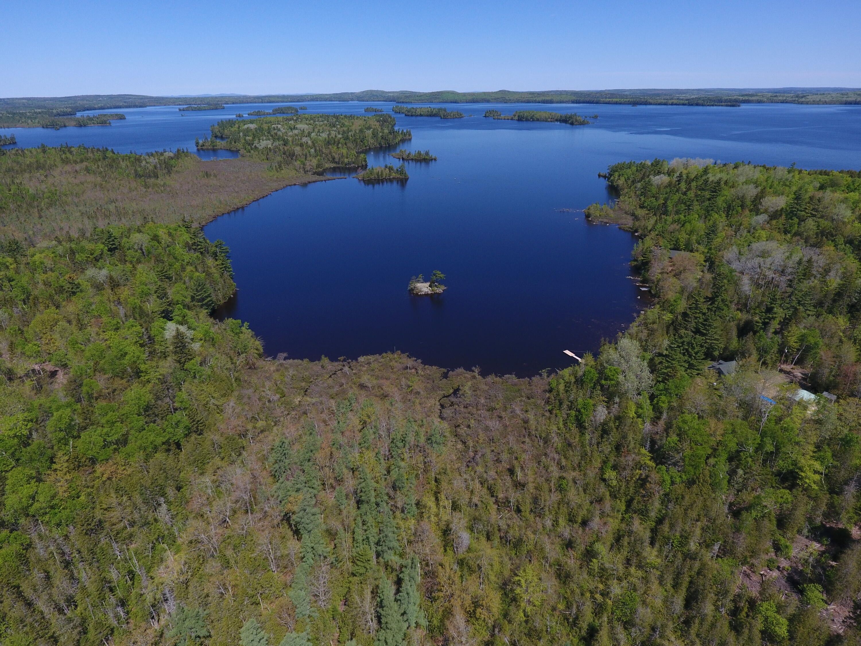 Meddybemps, Washington County, ME Undeveloped Land, Lakefront Property