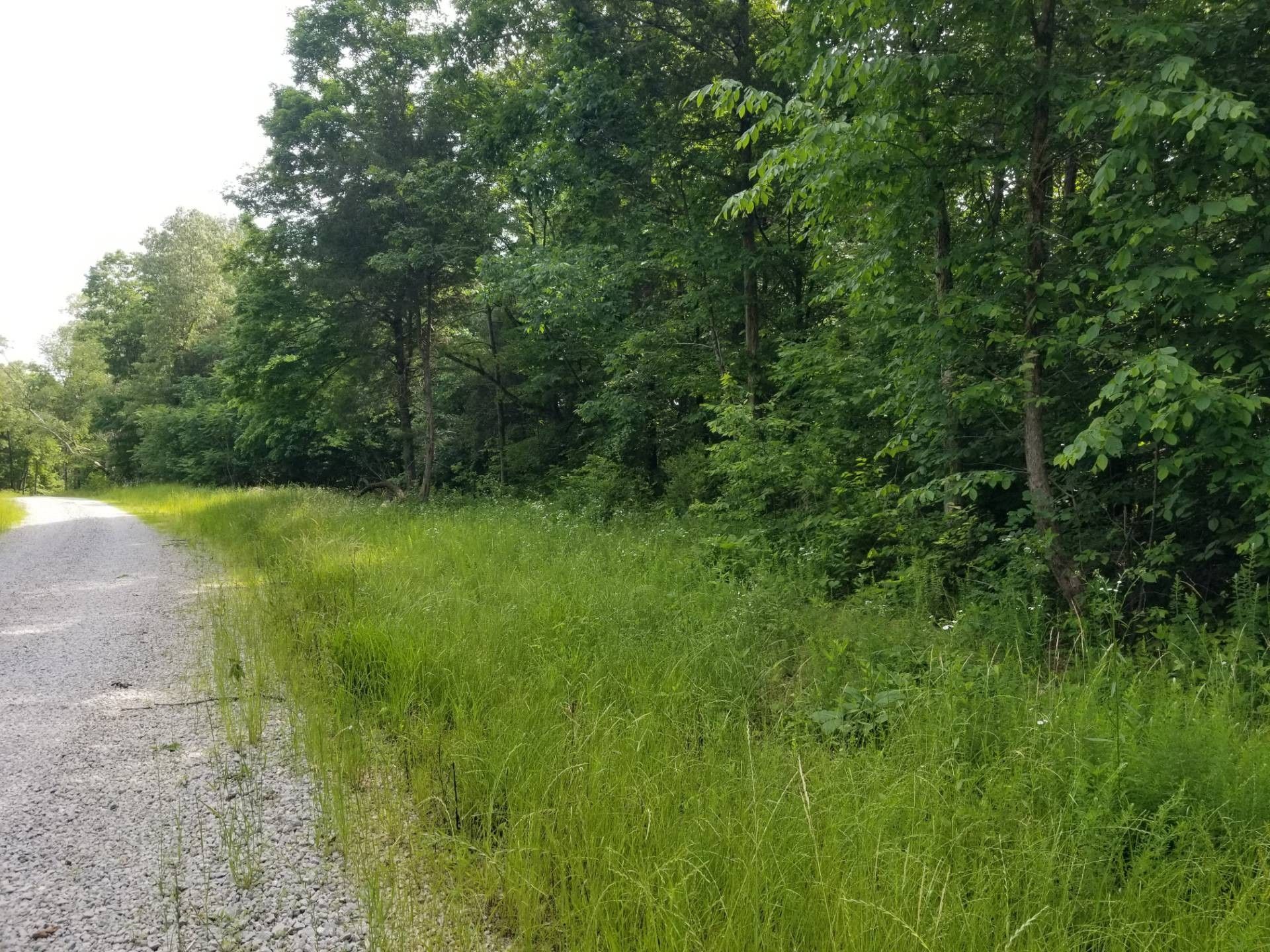 Clifton, Wayne County, TN Undeveloped Land for sale Property ID