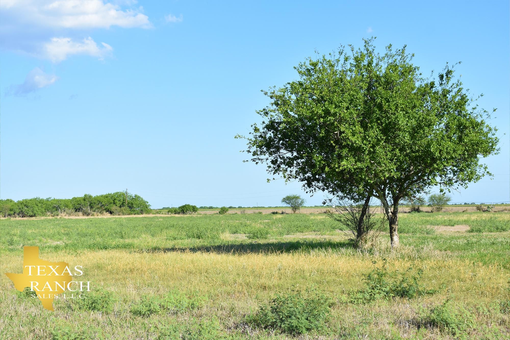 Skidmore, Bee County, TX Farms and Ranches, Recreational Property