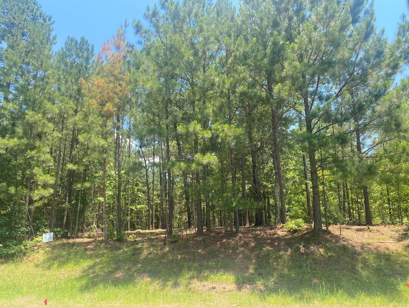 Lincolnton, Lincoln County, GA Recreational Property, Undeveloped Land