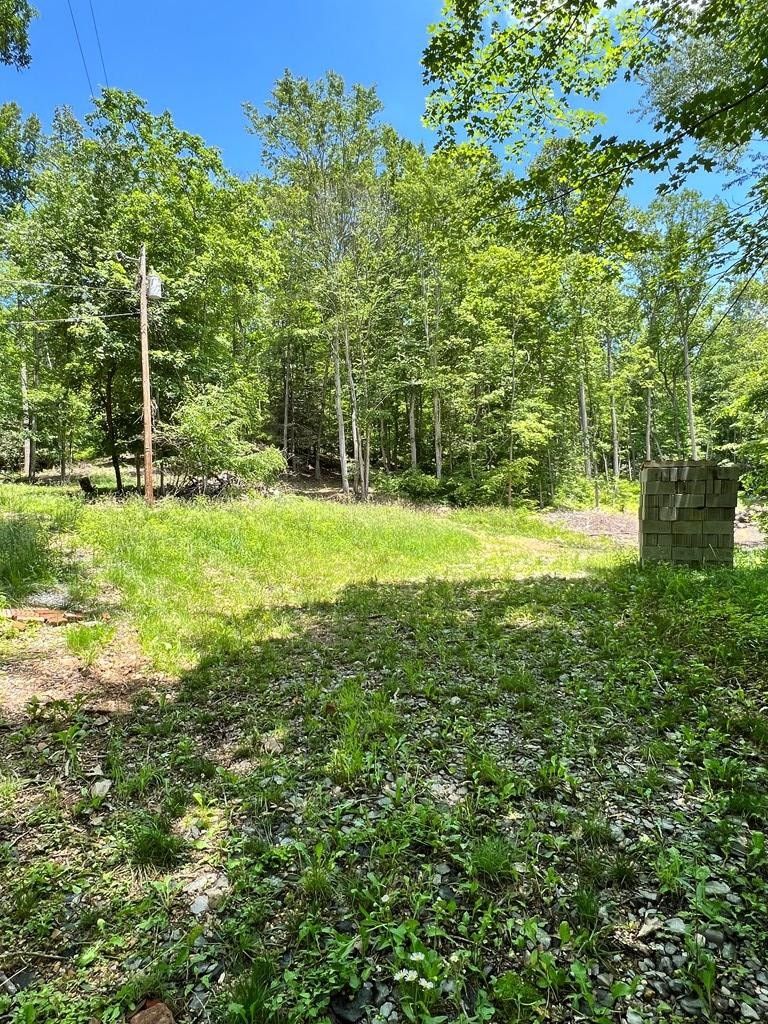 Marion, Smyth County, VA Farms and Ranches, Lakefront Property