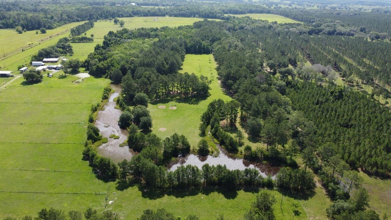 Madison, Madison County, FL Undeveloped Land for sale Property ID