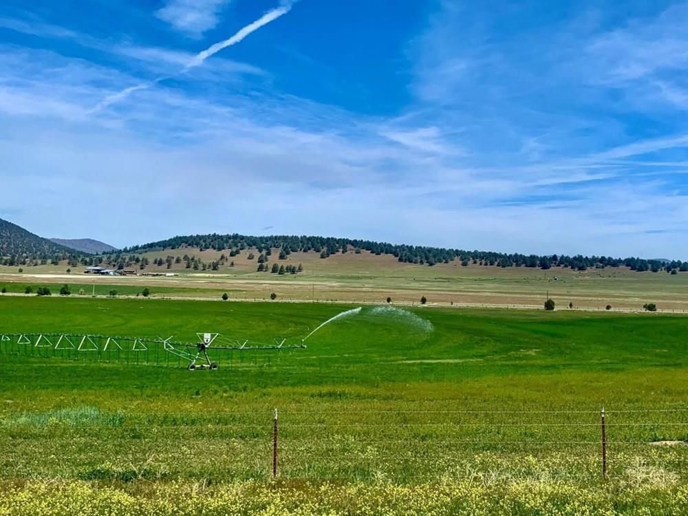 Dorris, Siskiyou County, CA Farms and Ranches, Hunting Property for