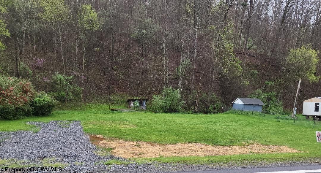 Napier, Braxton County, WV Undeveloped Land, Lakefront Property