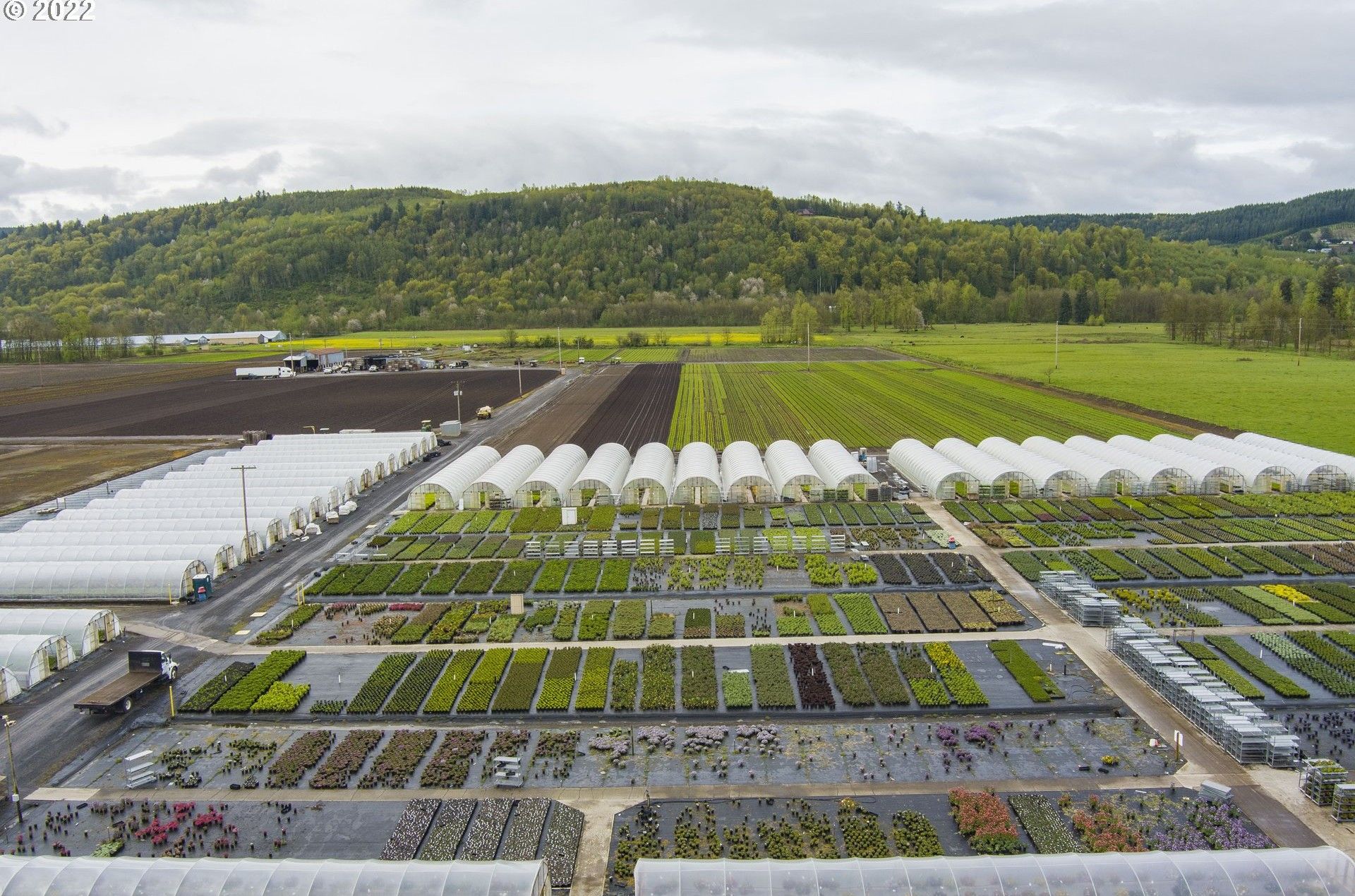 Mossyrock, Lewis County, WA Commercial Property, House for sale