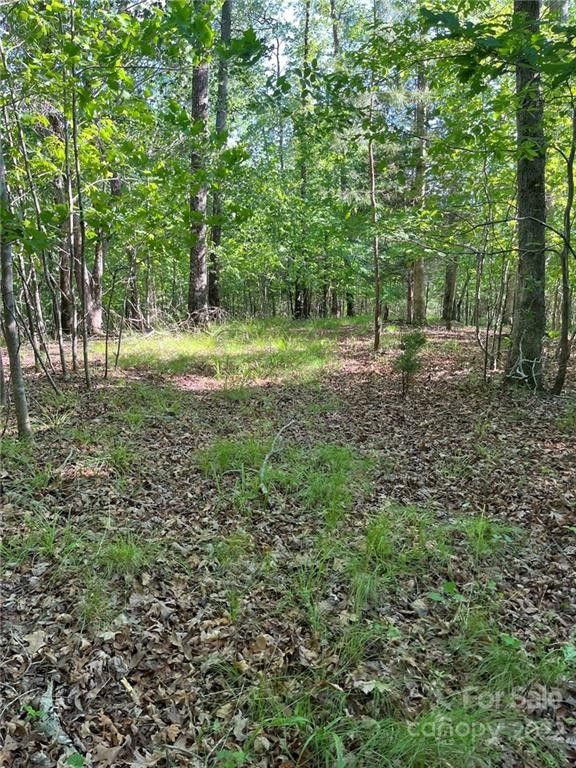 Rutherfordton, Polk County, NC Undeveloped Land, Homesites for sale Property ID 411984670
