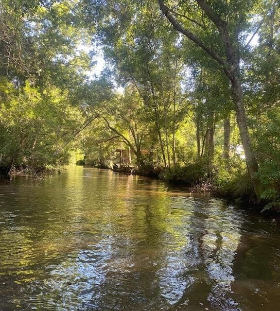 Theodore, Mobile County, AL Undeveloped Land, Lakefront Property