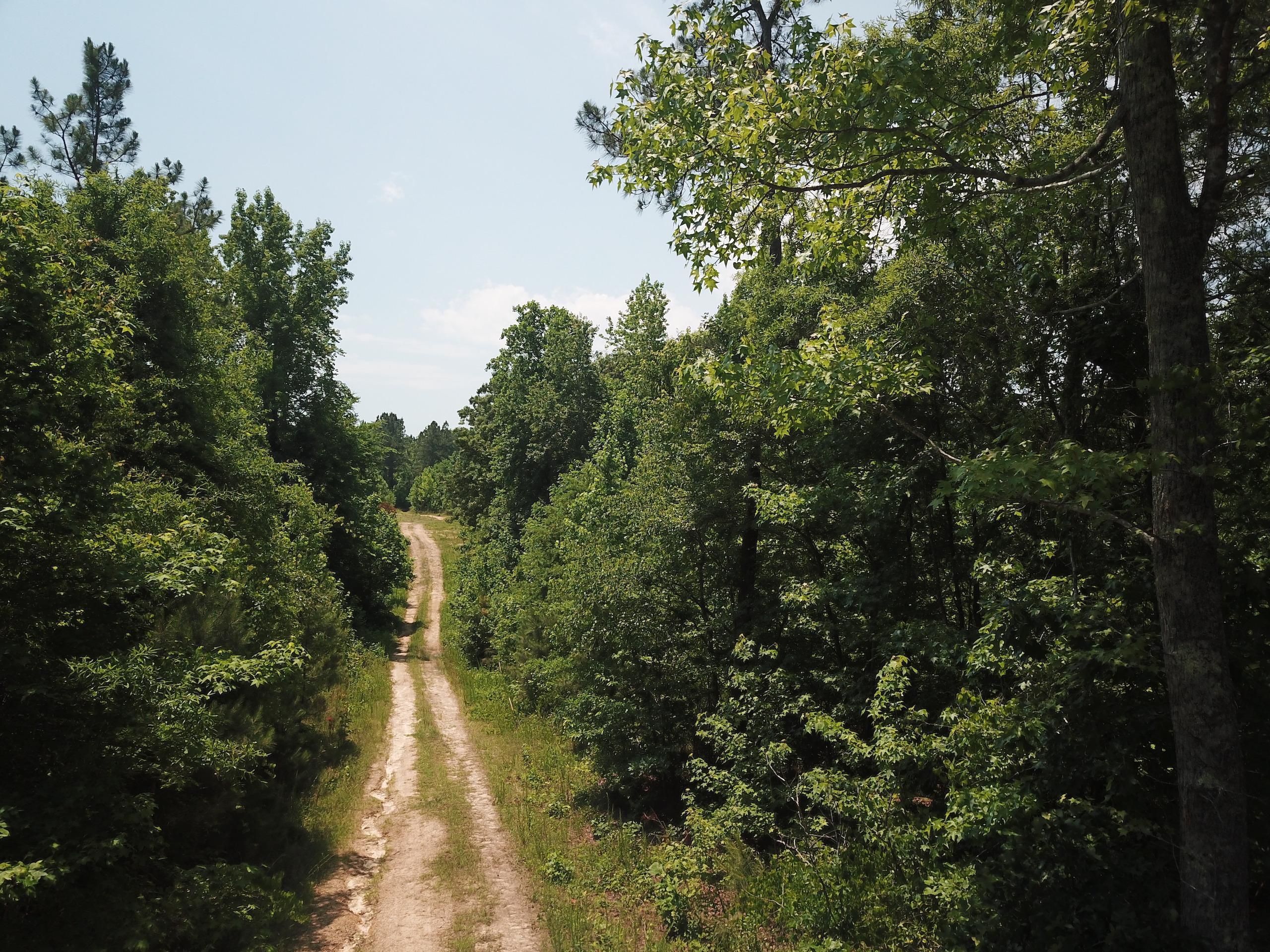Louisburg, Franklin County, NC Recreational Property, Timberland