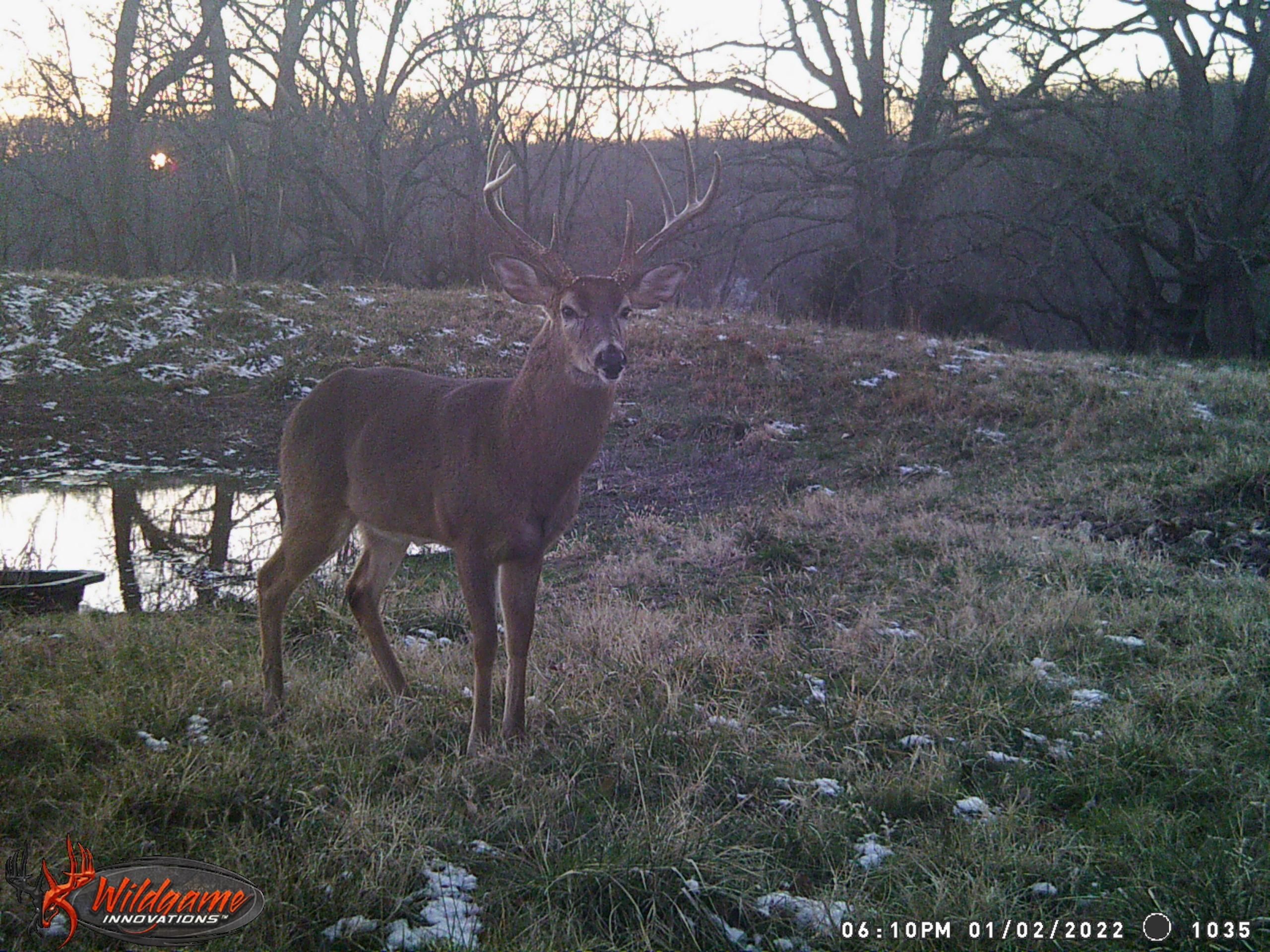 Pineville, McDonald County, MO Farms and Ranches, Recreational Property