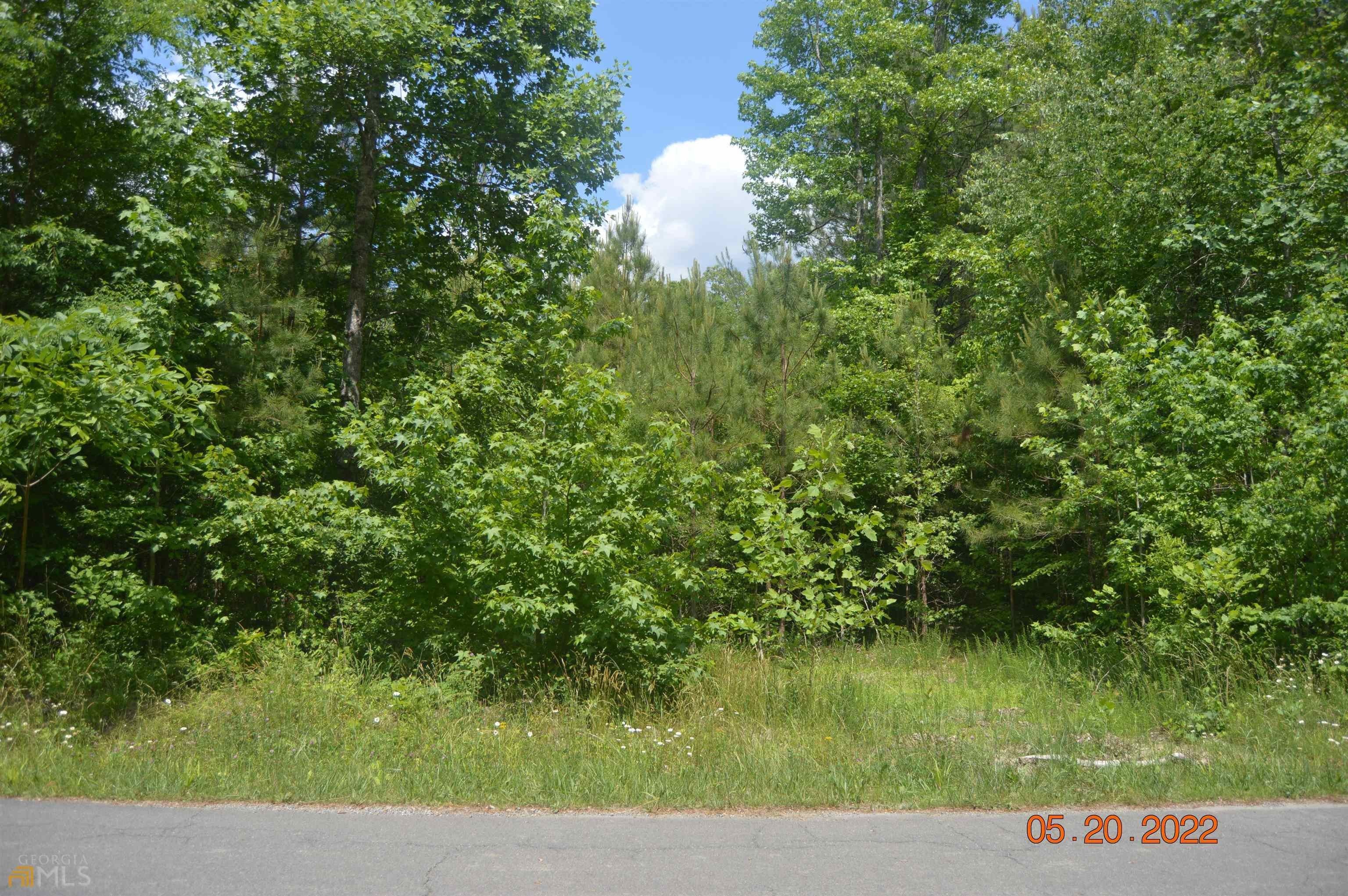 Summerville, Chattooga County, GA Undeveloped Land, Homesites for sale