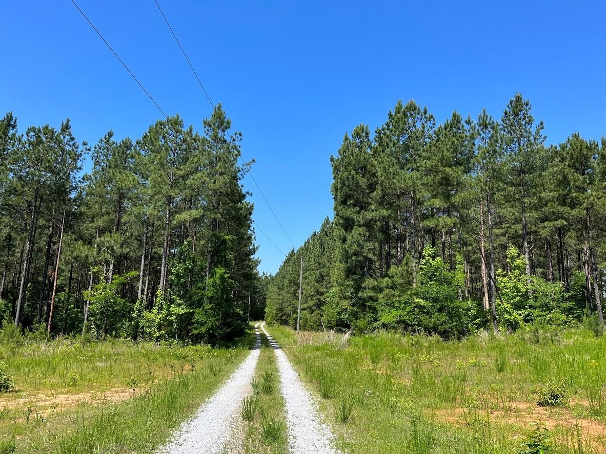 Mountain Creek Road, Meherrin, VA 23954 MLS B01 BK32081North