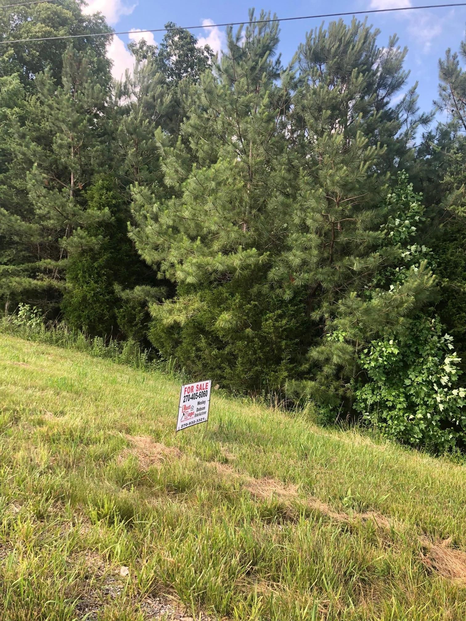 Buffalo, Larue County, KY Undeveloped Land for sale Property ID