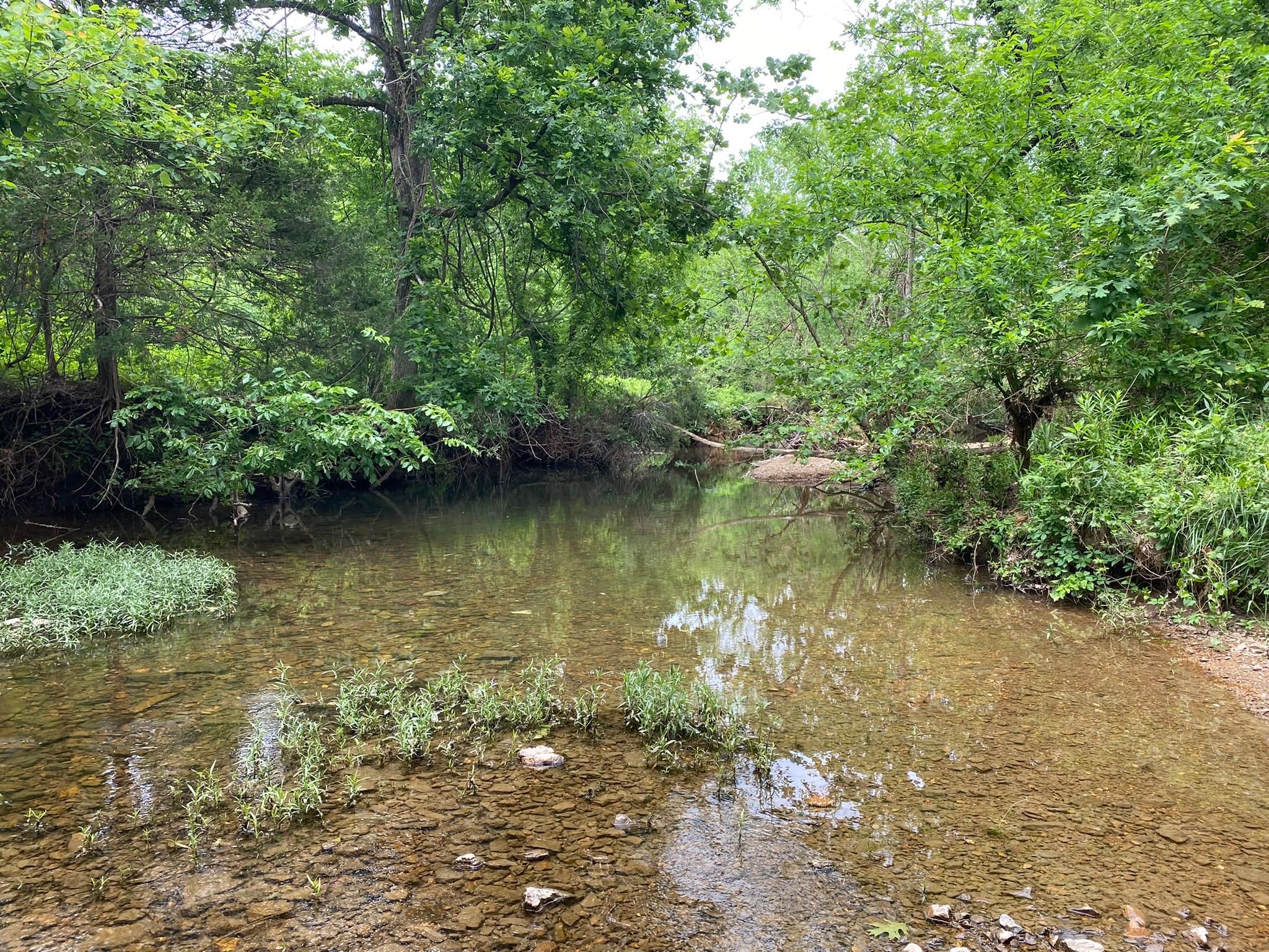 Glencoe, Fulton County, AR Timberland Property, Hunting Property for
