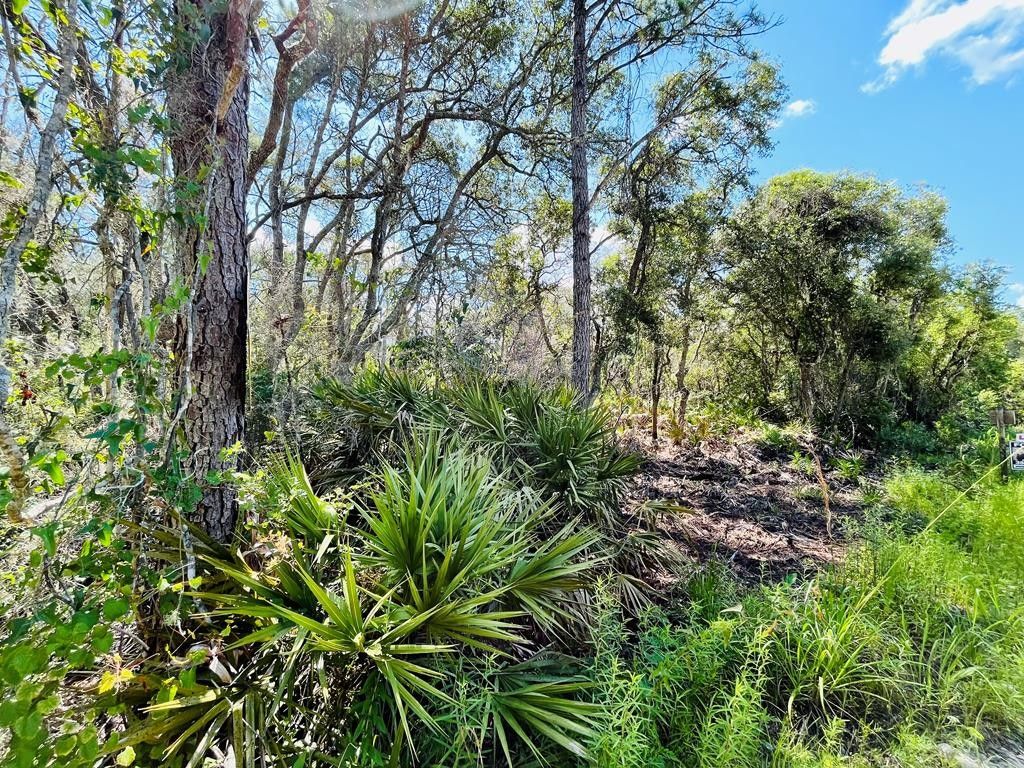 Old Town, Dixie County, FL Undeveloped Land, Homesites for sale