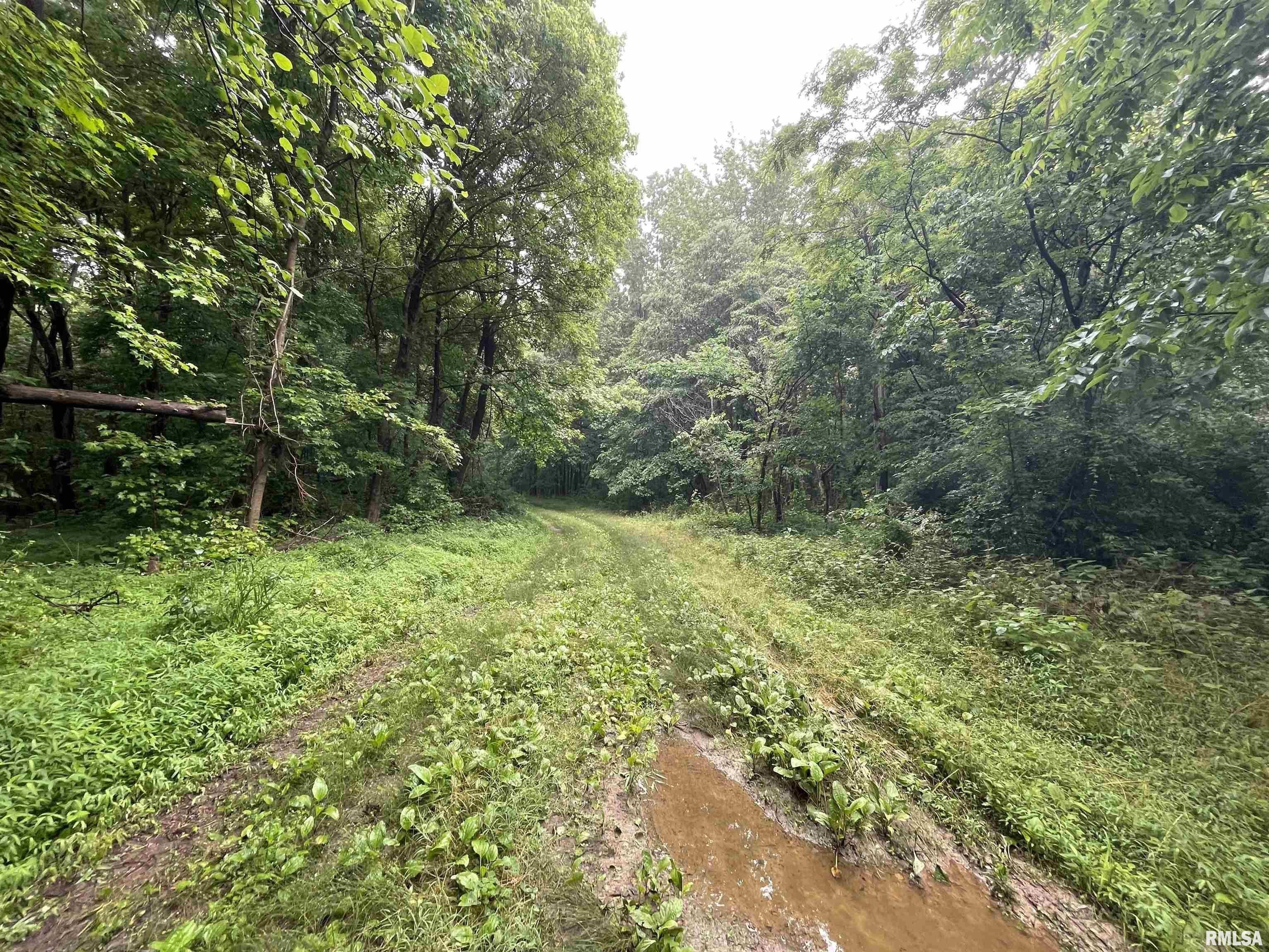 Villa Ridge, Pulaski County, IL Undeveloped Land for sale Property ID