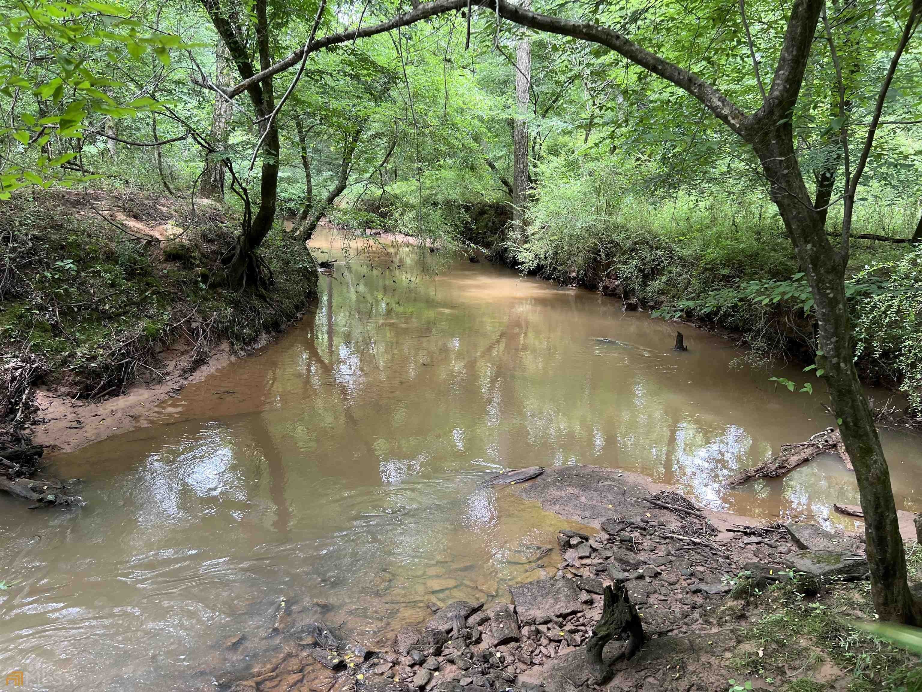 Forsyth, Monroe County, GA Recreational Property, Undeveloped Land